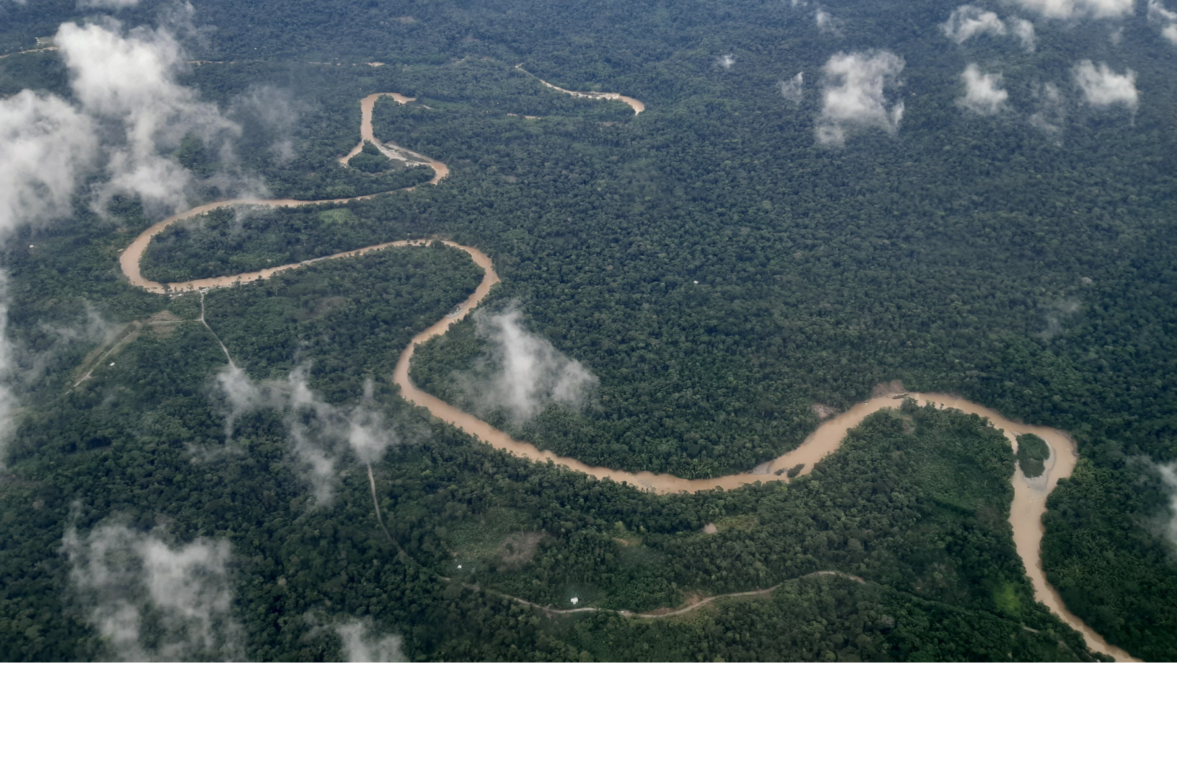 Bildquelle: Acción Ecológica über Rettet den Regenwald